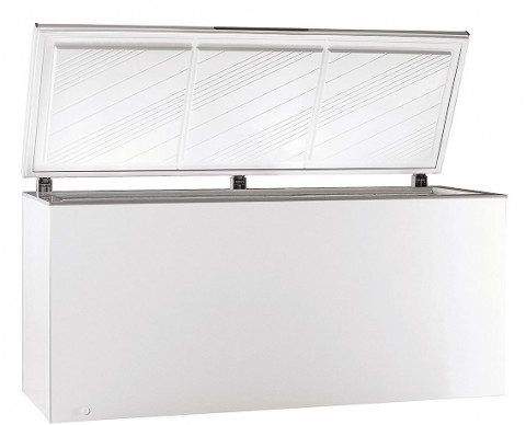 Pozis FH 258-1 морозильный ларь